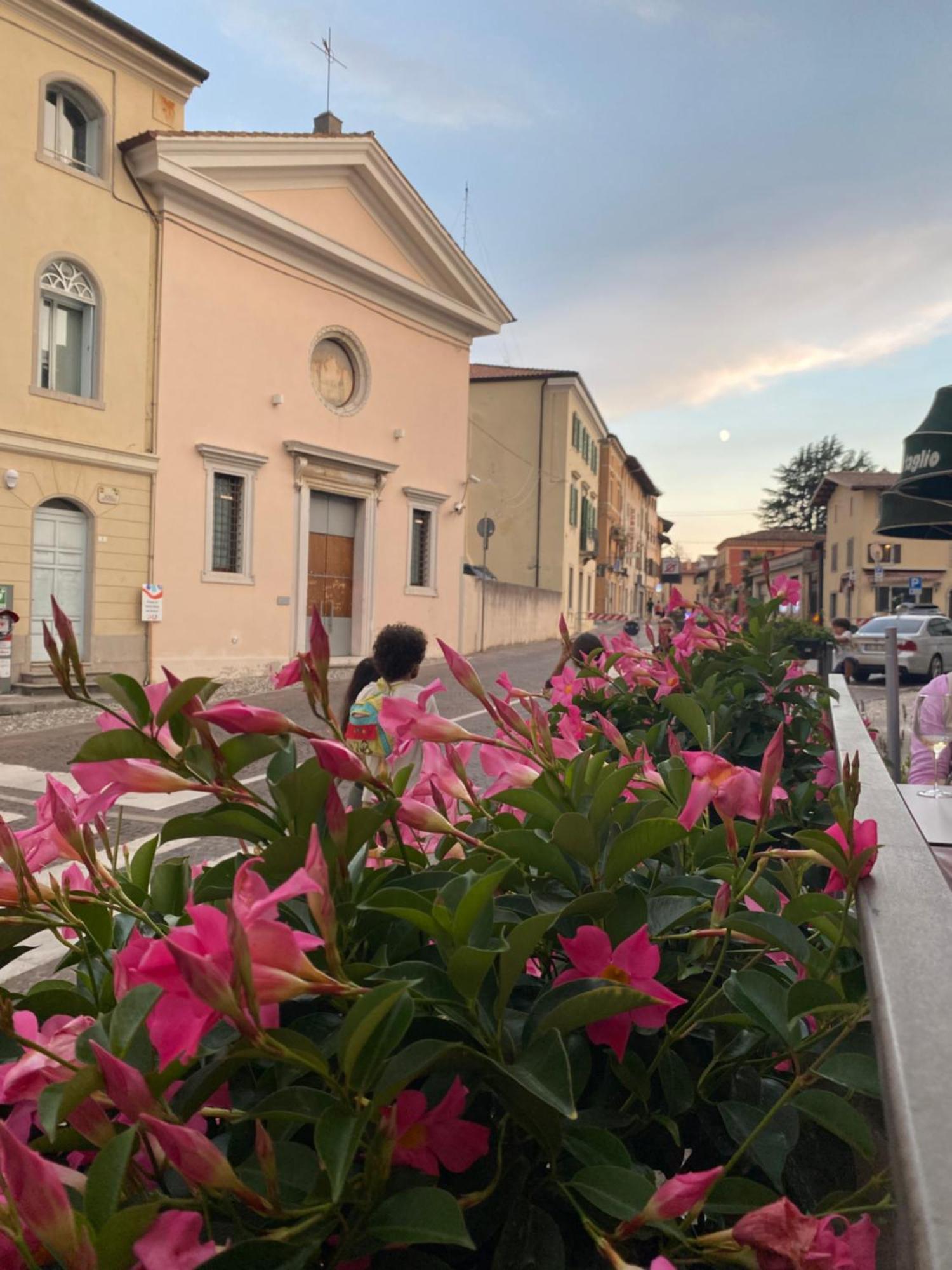 Il Riccio E Il Gufo Hotel Cepletischis ภายนอก รูปภาพ