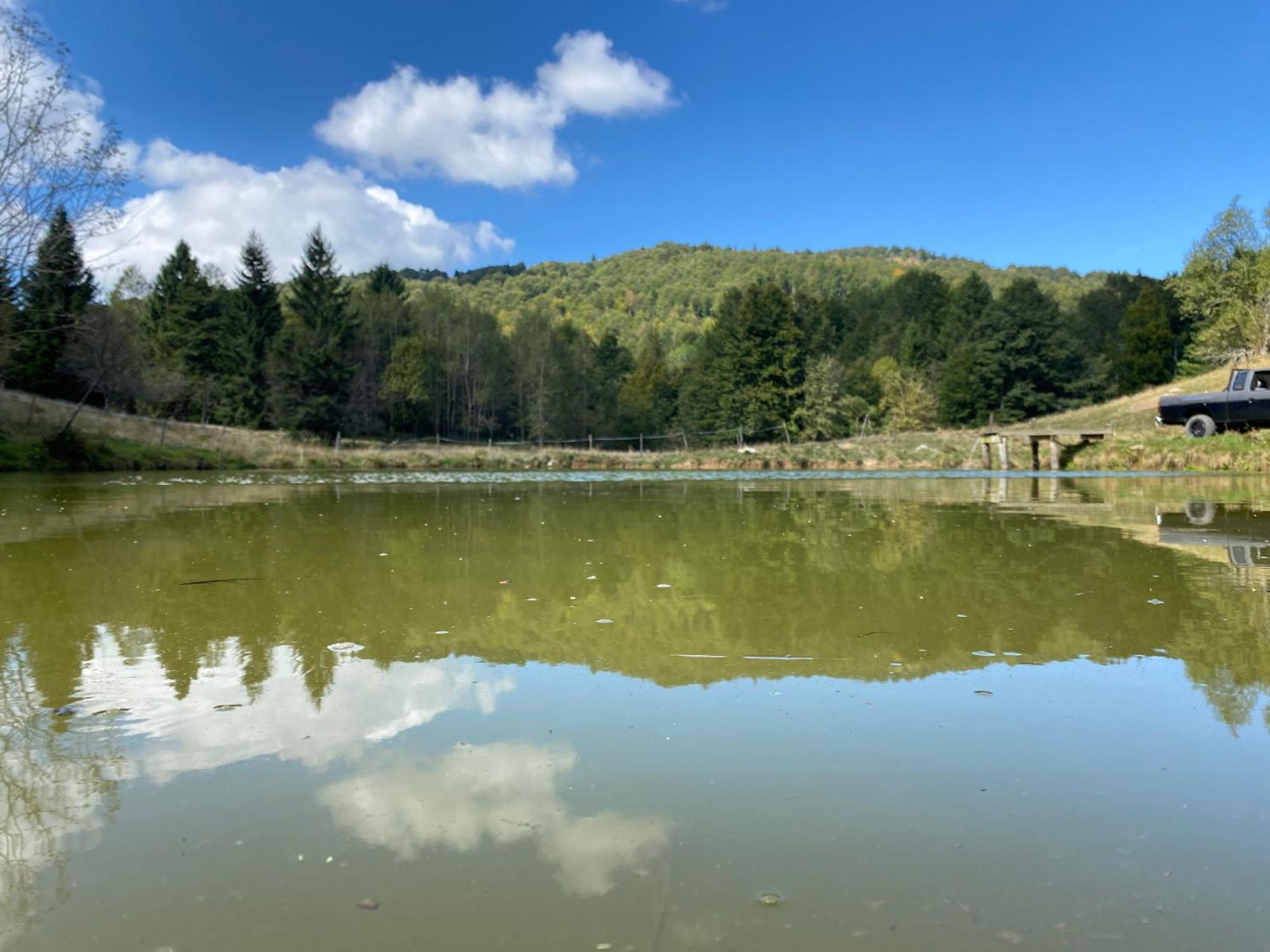Il Riccio E Il Gufo Hotel Cepletischis ภายนอก รูปภาพ